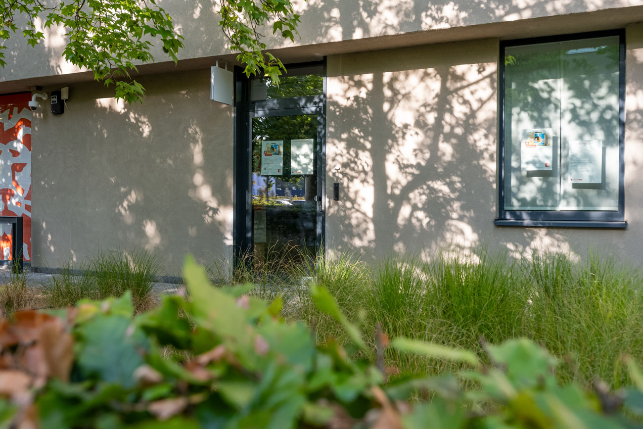 Handelspand op toplocatie in Sint-Martens-Latem — foto 6