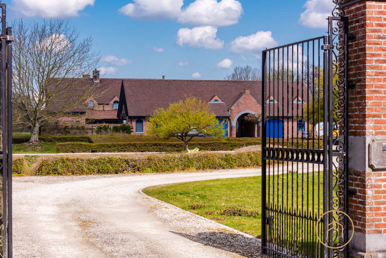 Het domein — beeld 3