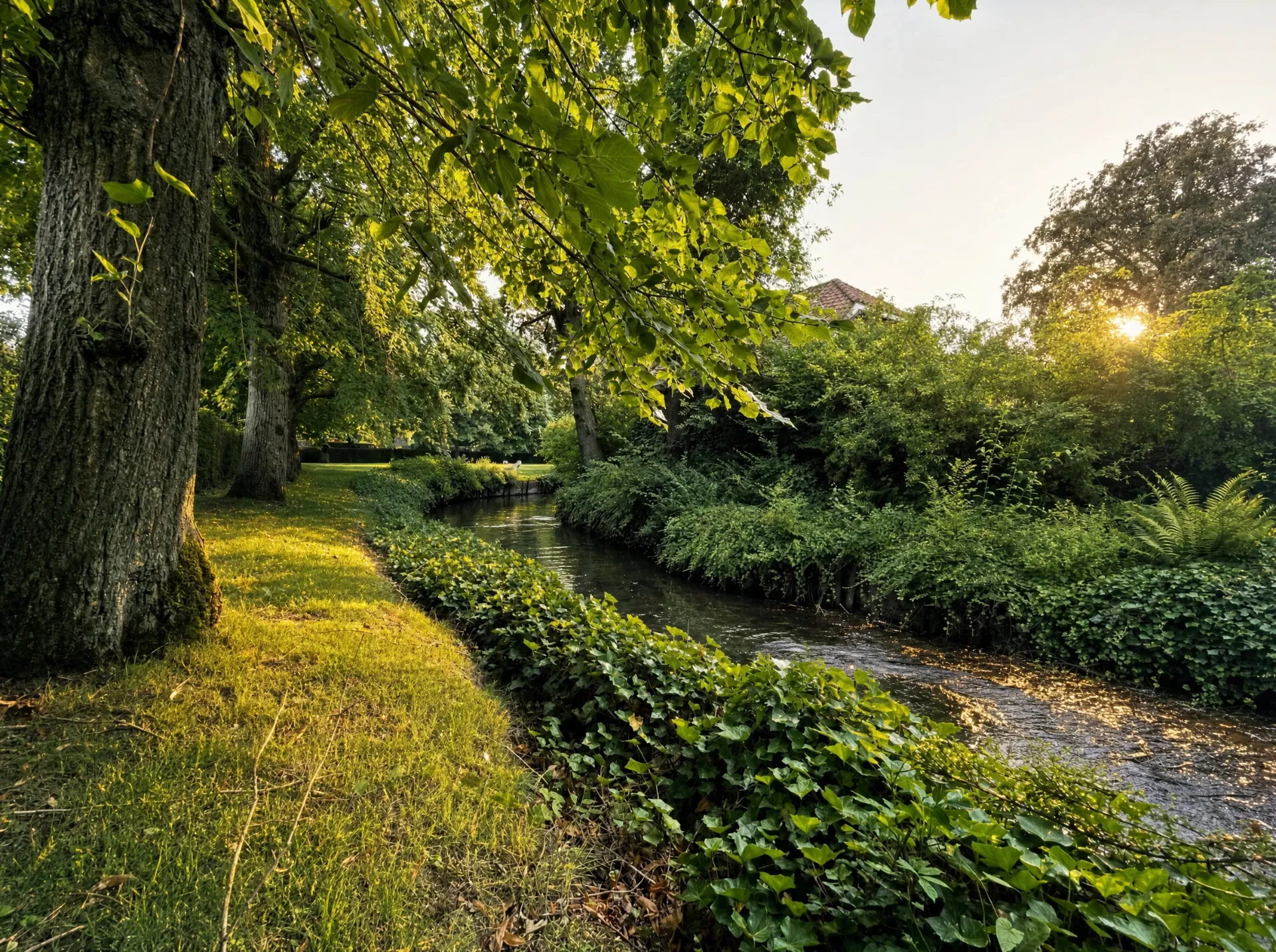 Eeuwenoude natuur op het domein